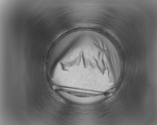 X0000070161025200606231849