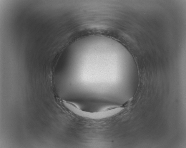 X0000070161061200606231849