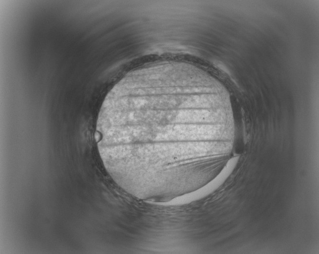 X0000070161063200606231849