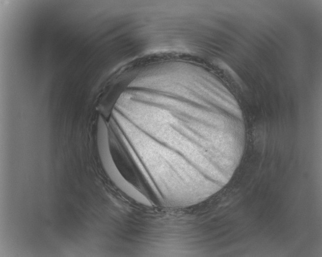 X0000070161064200606231849