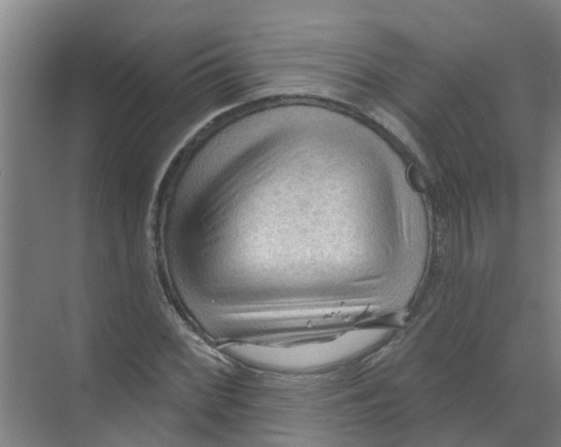 X0000070161068200606231849