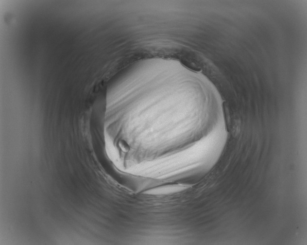 X0000070161108200606231847