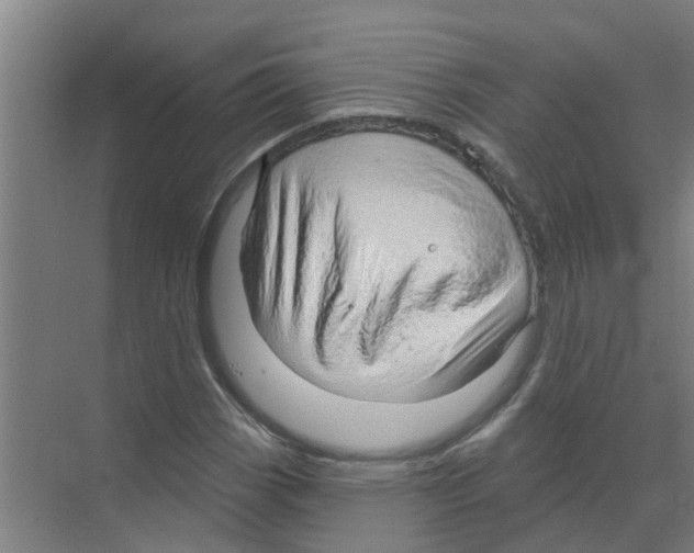 X0000070161113200606231848