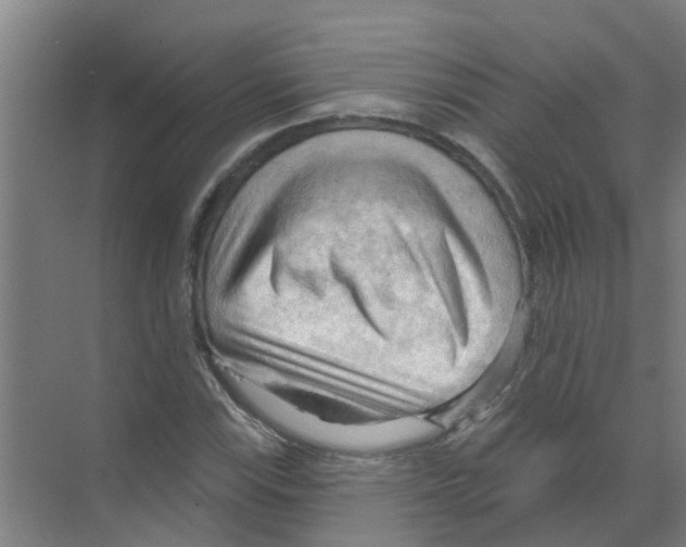 X0000070161115200606231848