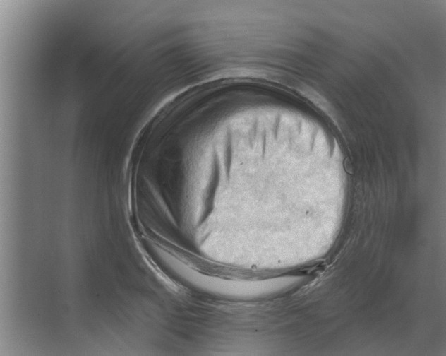 X0000070161127200606231848