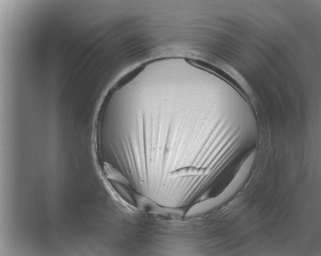 X0000070161144200606231848