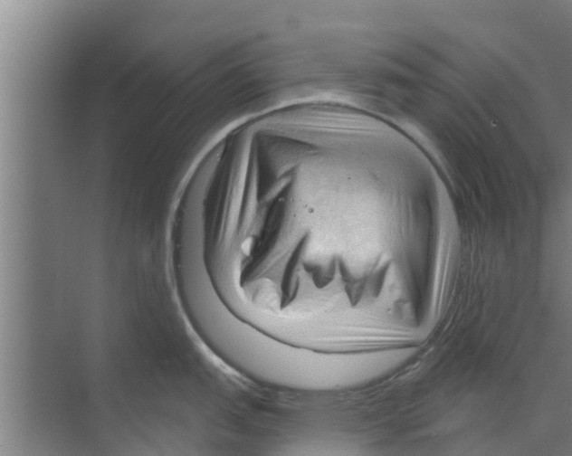 X0000070161151200606231848