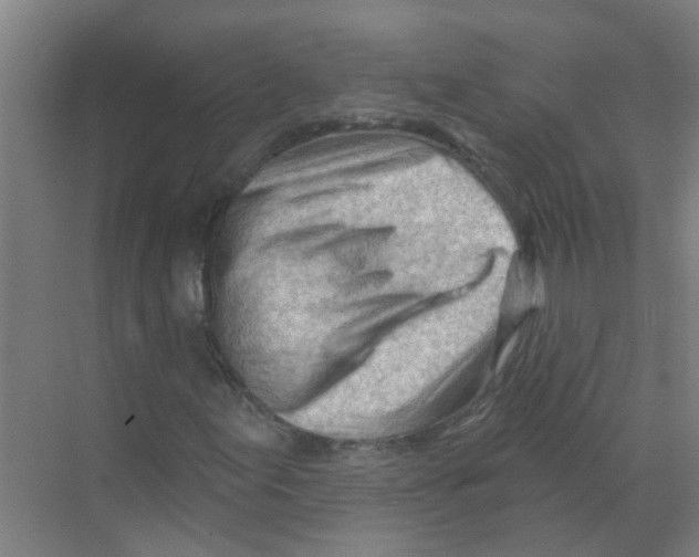 X0000070161155200606231847