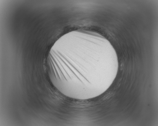 X0000070161156200606231847
