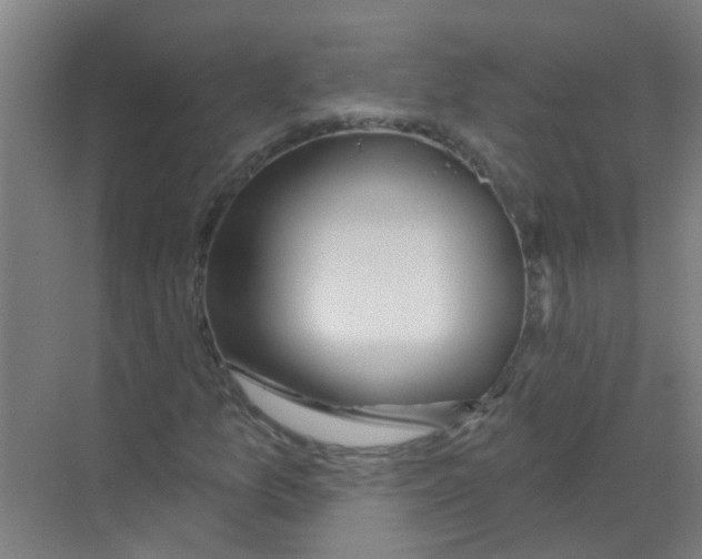 X0000070161157200606231847