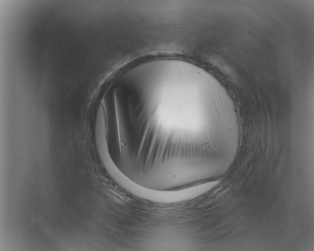 X0000070161160200606231847