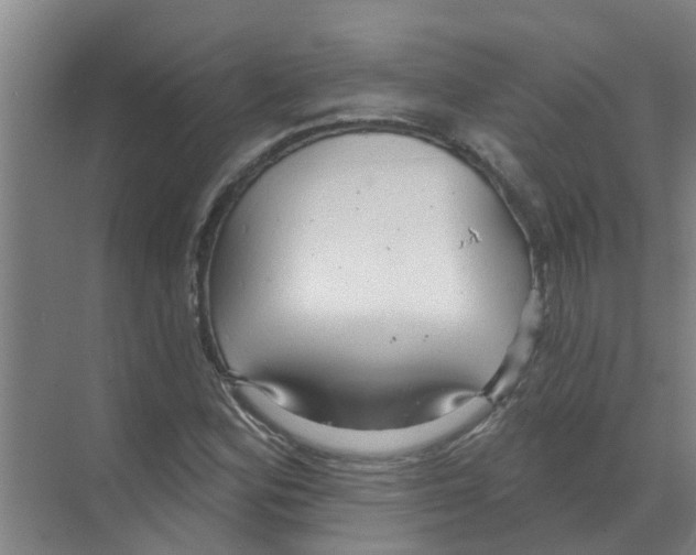 X0000070161164200606231847