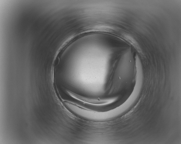 X0000070161180200606231847