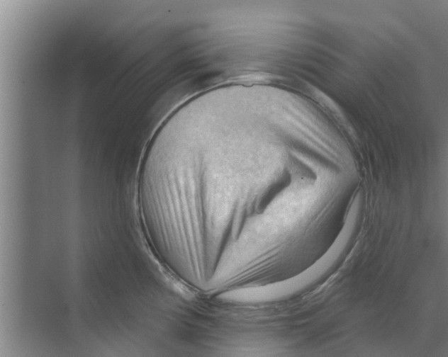 X0000070161194200606231847