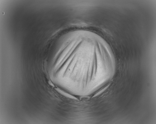 X0000070161205200606231846