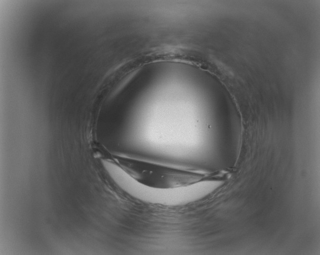 X0000070161206200606231846