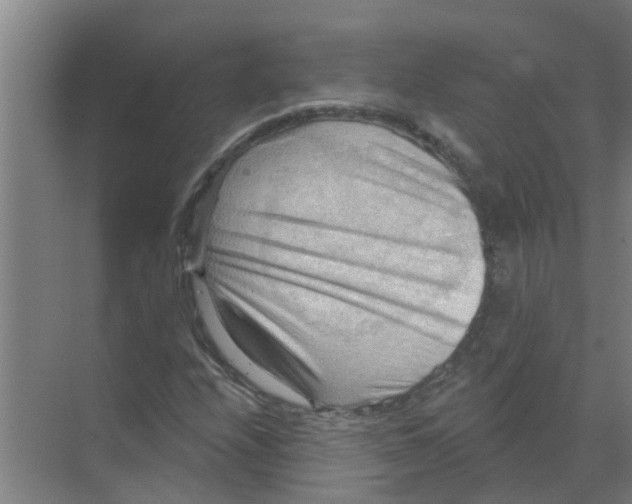 X0000070161208200606231846