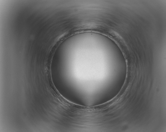 X0000070161210200606231846