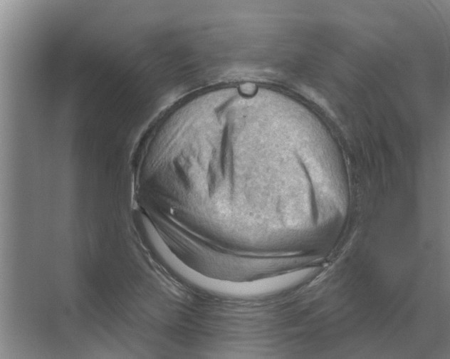 X0000070161219200606231846