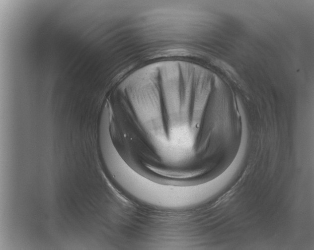 X0000070161225200606231846