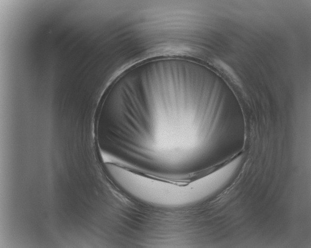 X0000070161226200606231846