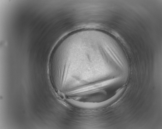 X0000070161232200606231846
