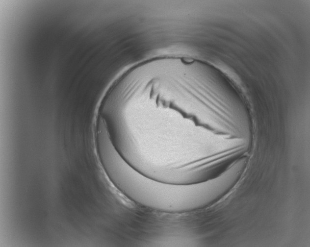 X0000070161248200606231847