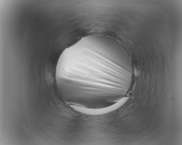 X0000070161250200606231846