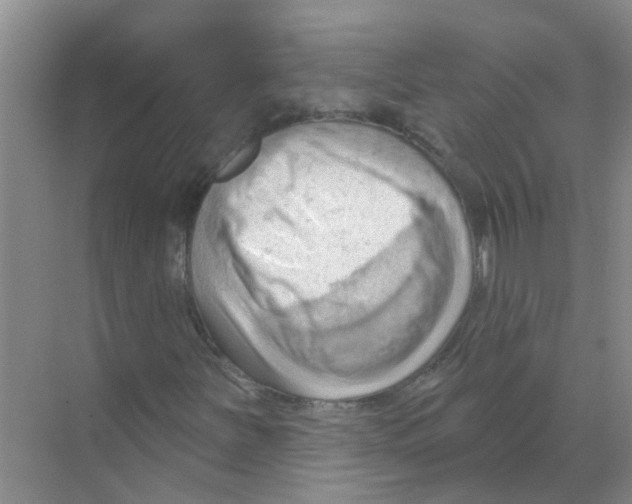 X0000070161251200606231846