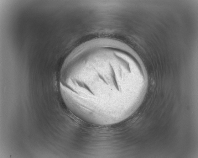 X0000070161252200606231846
