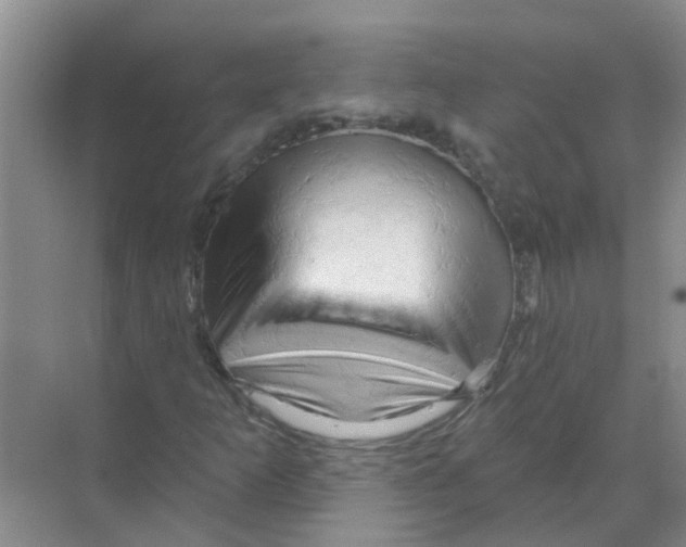 X0000070161253200606231846