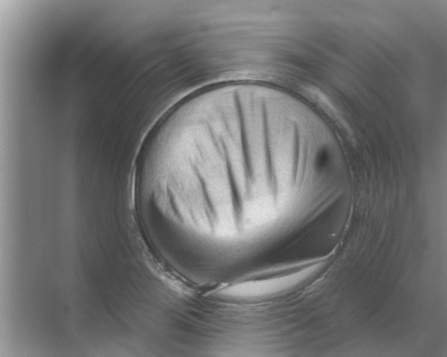 X0000070161276200606231845