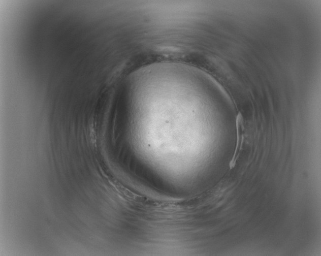 X0000070161298200606231844