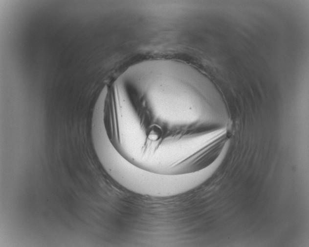 X0000070161300200606231844