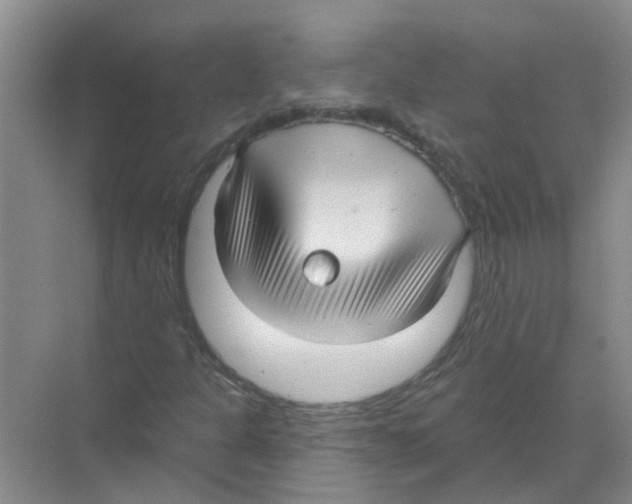 X0000070161301200606231844