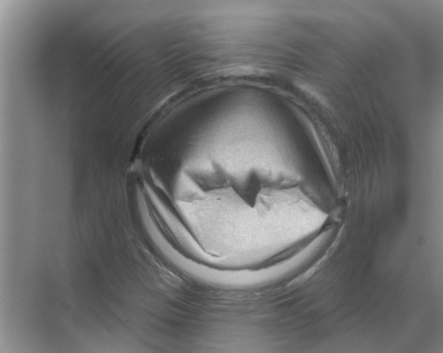 X0000070161305200606231844