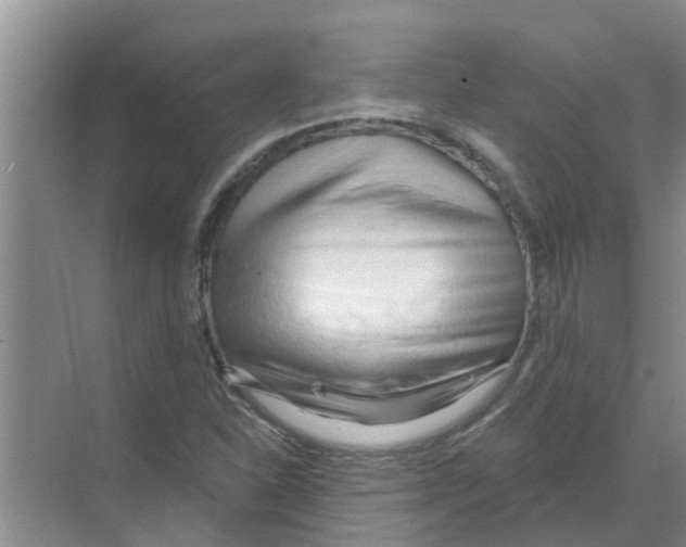 X0000070161310200606231844