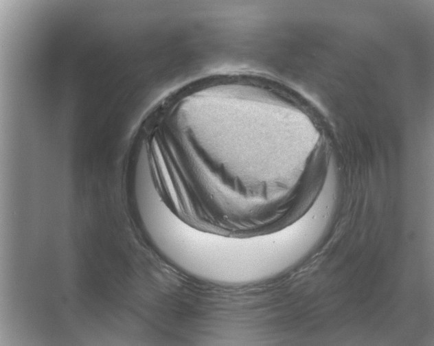 X0000070161311200606231844