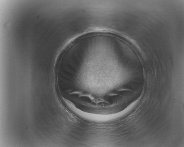 X0000070161319200606231845