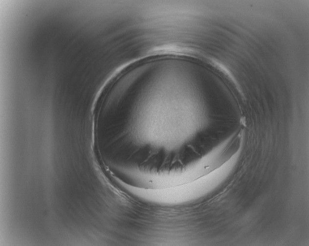 X0000070161323200606231845