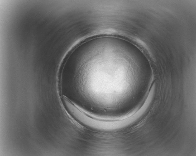 X0000070161326200606231845