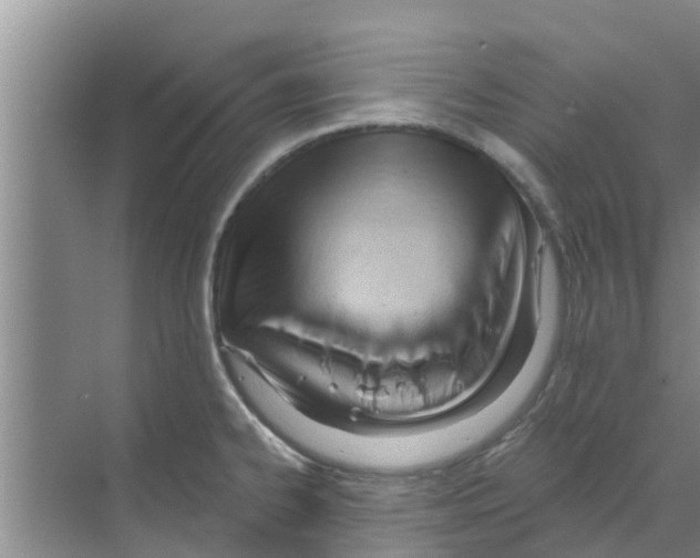 X0000070161334200606231845