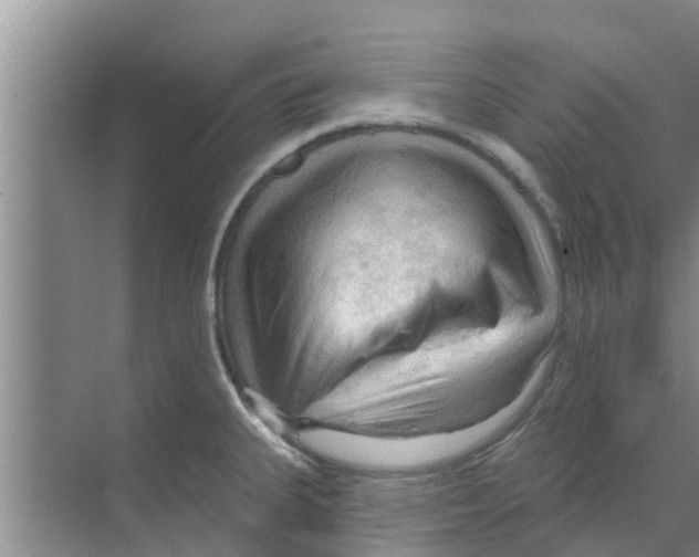 X0000070161335200606231845