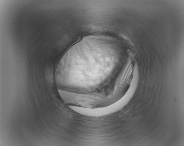 X0000070161348200606231844