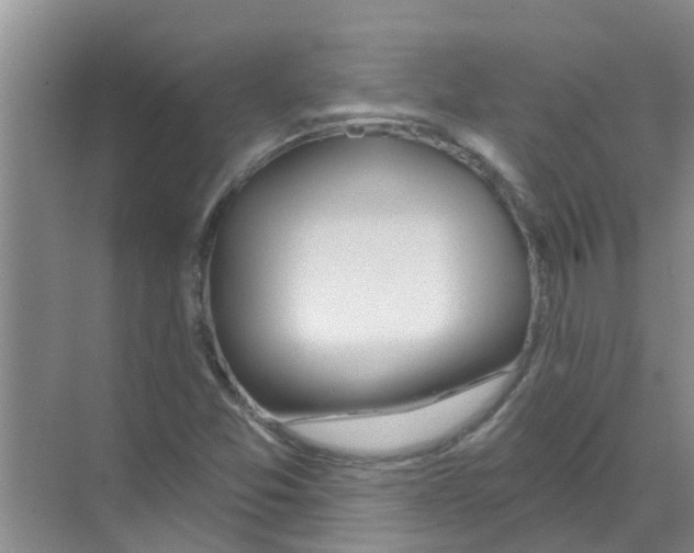 X0000070161357200606231844