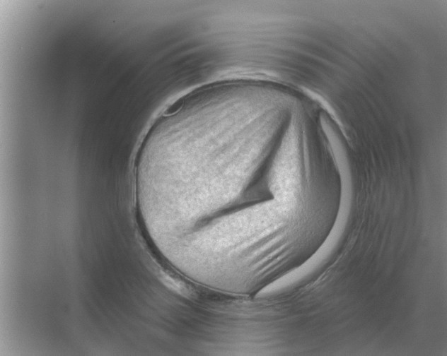 X0000070161371200606231844