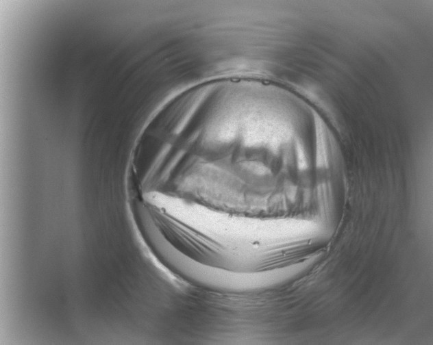 X0000070161383200606231844