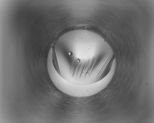 X0000070161394200606231843