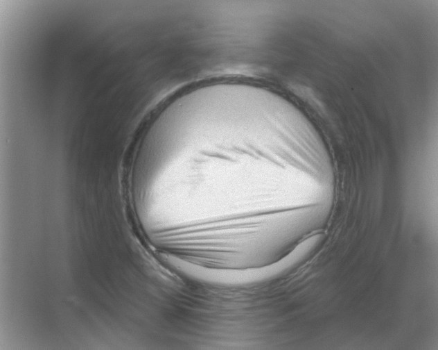 X0000070161404200606231843
