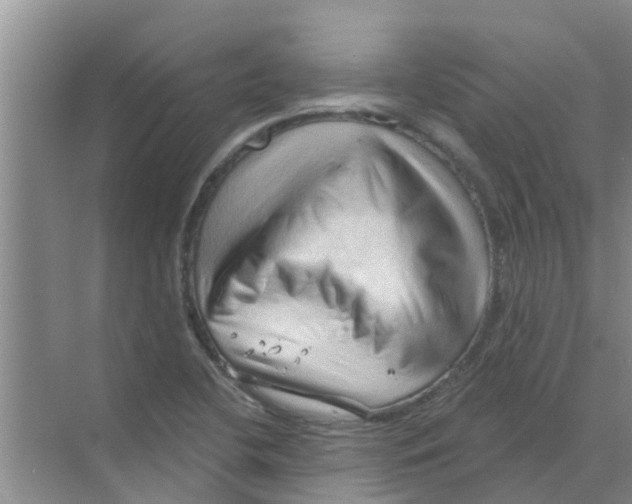 X0000070161412200606231843